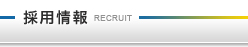 採用情報